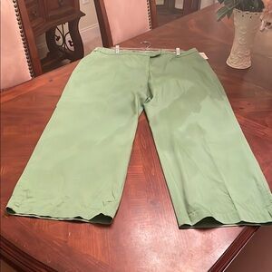 Coldwater Creek Green Lightweight Cotton Pants.